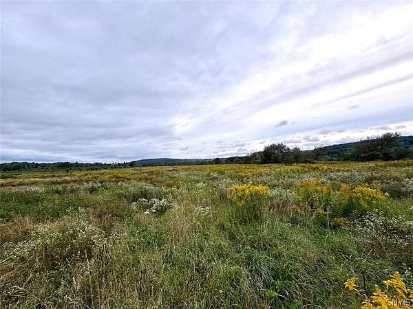29.8 Acres of Land for Sale in Black Creek, New York