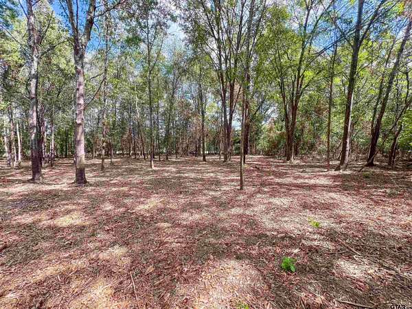 4.28 Acres of Residential Land for Sale in Tyler, Texas