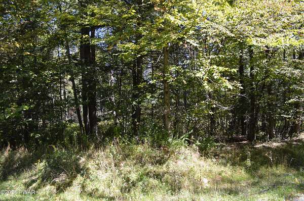 0.47 Acres of Residential Land for Sale in Newfoundland, Pennsylvania