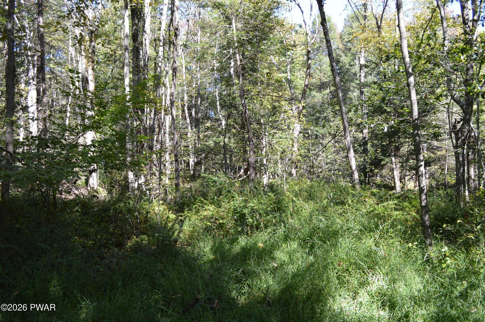 0.46 Acres of Residential Land for Sale in Newfoundland, Pennsylvania