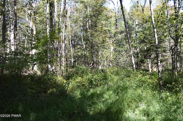 0.46 Acres of Residential Land for Sale in Newfoundland, Pennsylvania