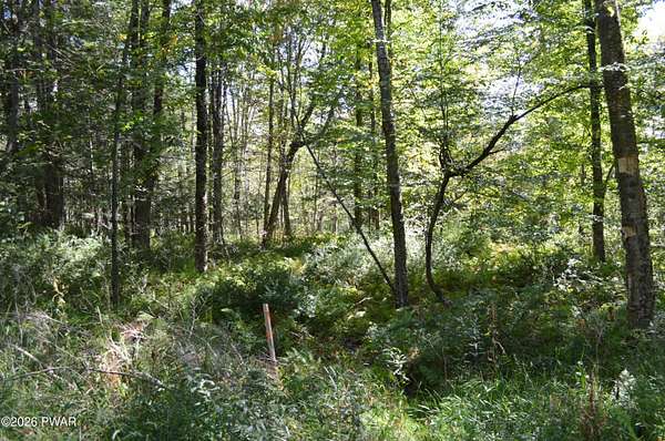 0.49 Acres of Residential Land for Sale in Newfoundland, Pennsylvania