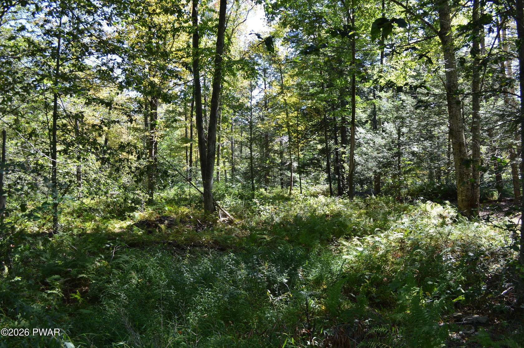 0.57 Acres of Residential Land for Sale in Newfoundland, Pennsylvania