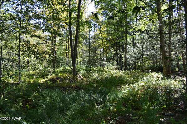 0.57 Acres of Residential Land for Sale in Newfoundland, Pennsylvania