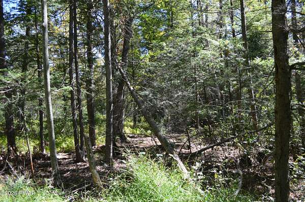 0.49 Acres of Residential Land for Sale in Newfoundland, Pennsylvania