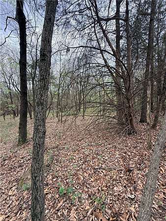 5 Acres of Residential Land for Sale in Green Forest, Arkansas