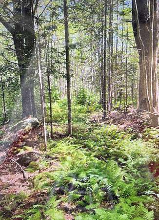 0.98 Acres of Residential Land for Sale in Damariscotta, Maine