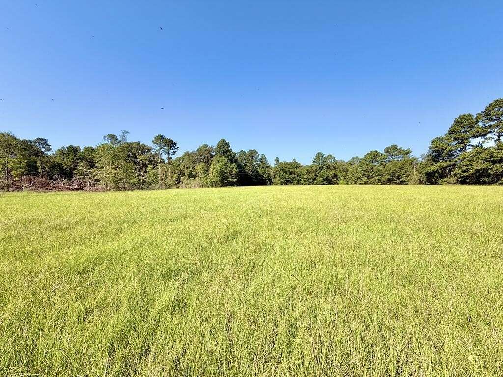 19 Acres of Land for Sale in Diboll, Texas