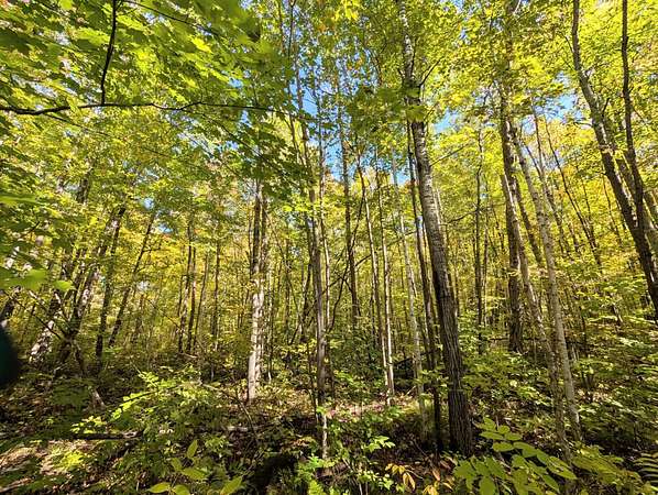 18.2 Acres of Recreational Land for Sale in Hunter Town, Wisconsin