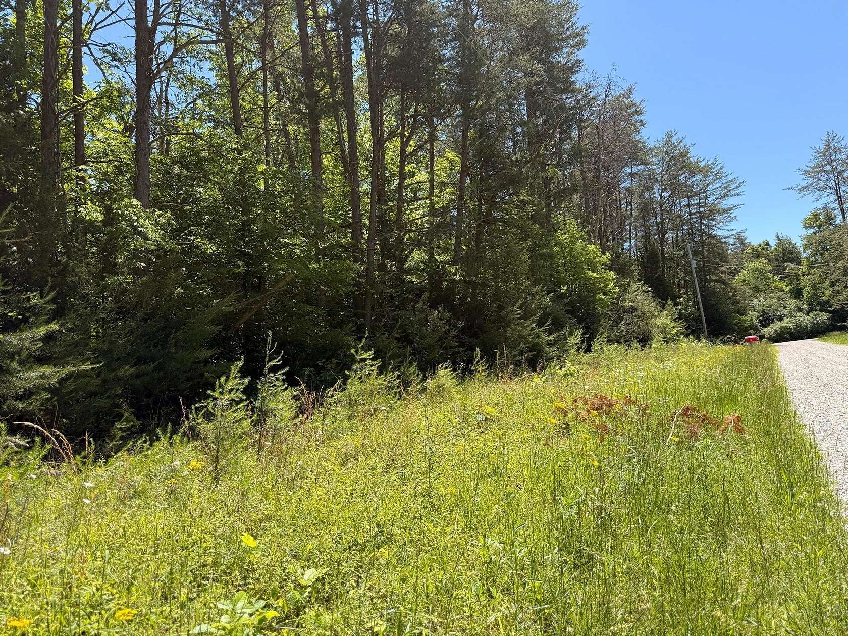 10 Acres of Land for Sale in Nancy, Kentucky