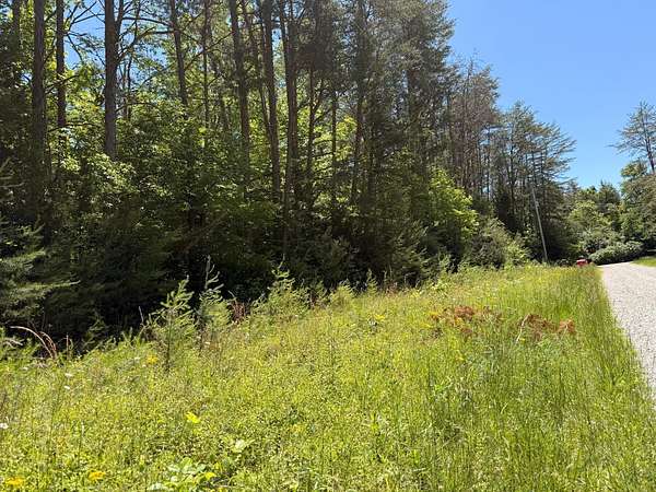 10 Acres of Land for Sale in Nancy, Kentucky