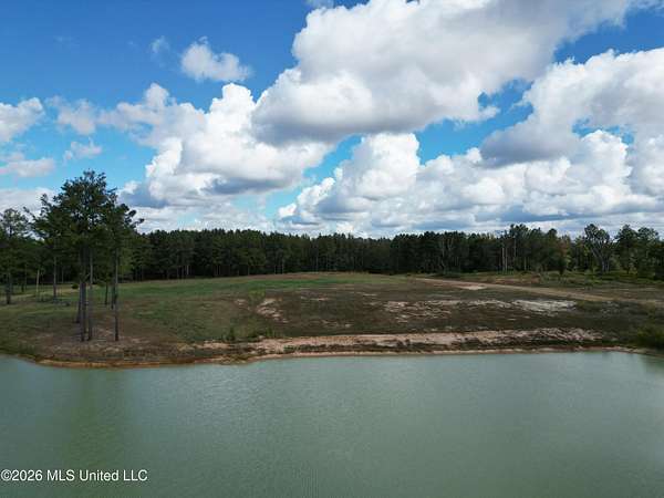 8 Acres of Land for Sale in Canton, Mississippi