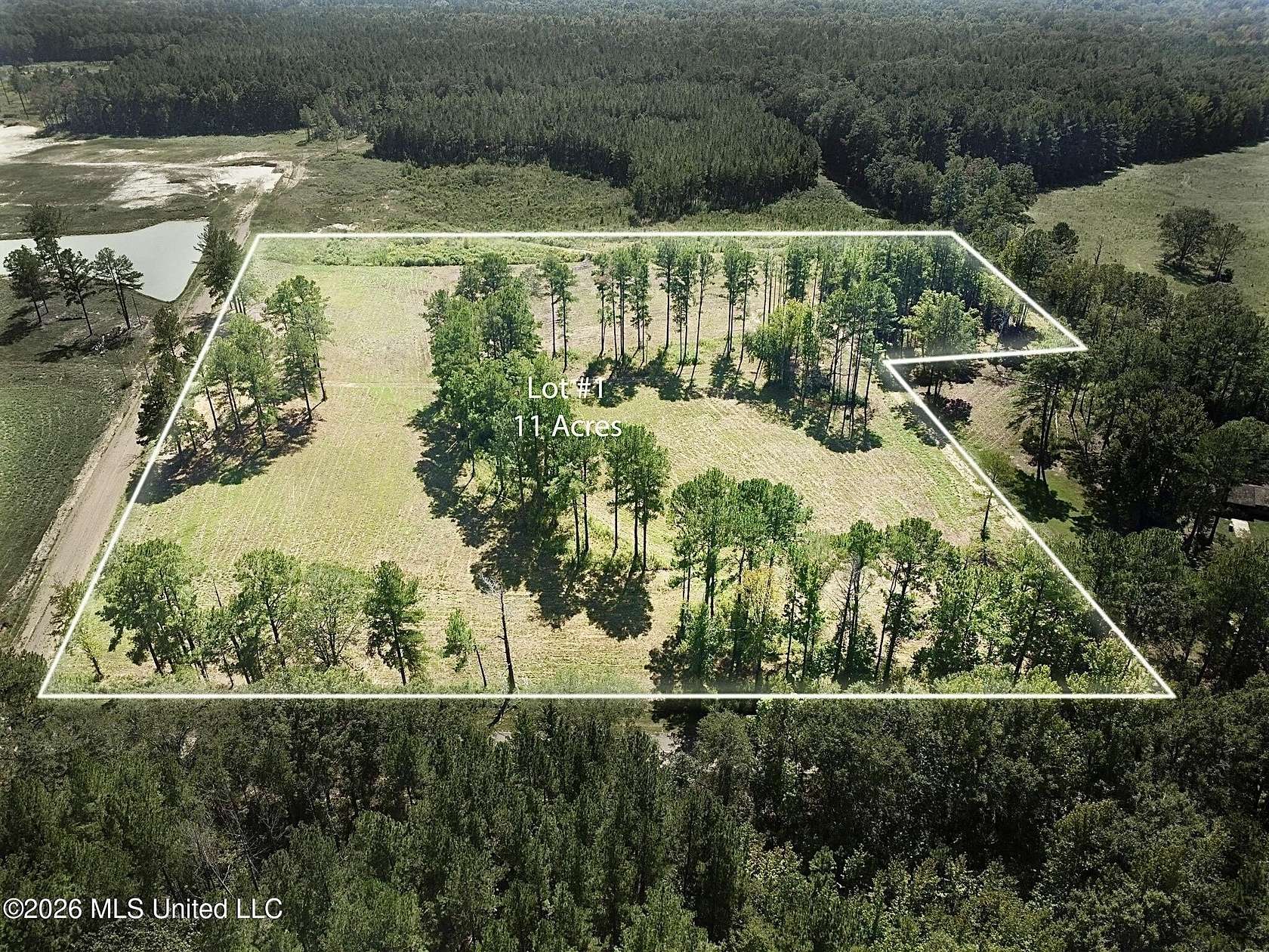 11 Acres of Land for Sale in Canton, Mississippi