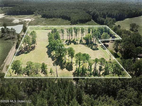 11 Acres of Land for Sale in Canton, Mississippi