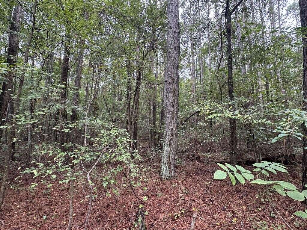 17.9 Acres of Land for Sale in Dalton, Georgia