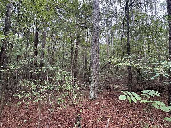 17.9 Acres of Land for Sale in Dalton, Georgia