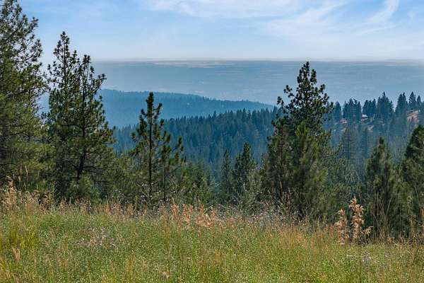 23.4 Acres of Recreational & Residential Land for Sale in Deer Park, Washington