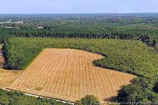 14.4 Acres of Land for Sale in Autryville, North Carolina