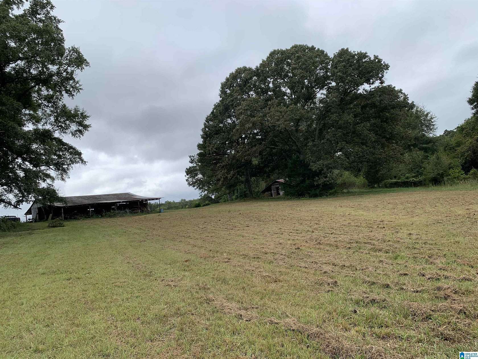 159 Acres of Land for Sale in Dadeville, Alabama