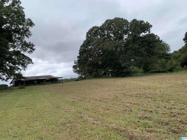 159 Acres of Land for Sale in Dadeville, Alabama