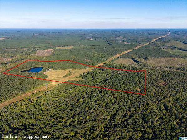159 Acres of Land for Sale in Dadeville, Alabama