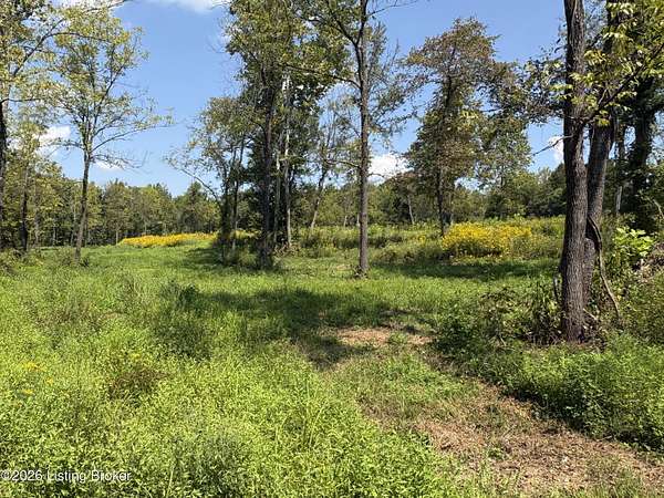 454 Acres of Land for Sale in Falls of Rough, Kentucky