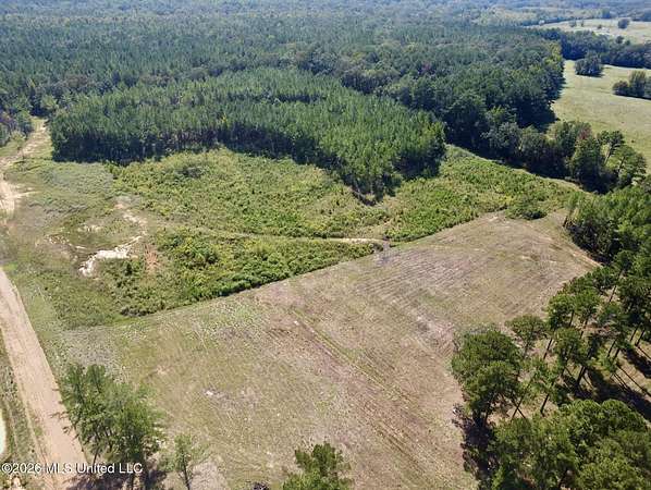 8 Acres of Land for Sale in Canton, Mississippi