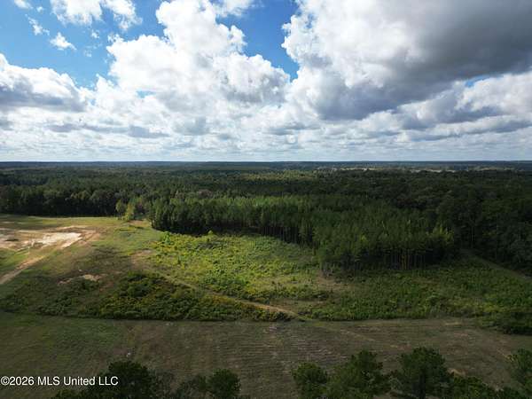 8 Acres of Land for Sale in Canton, Mississippi