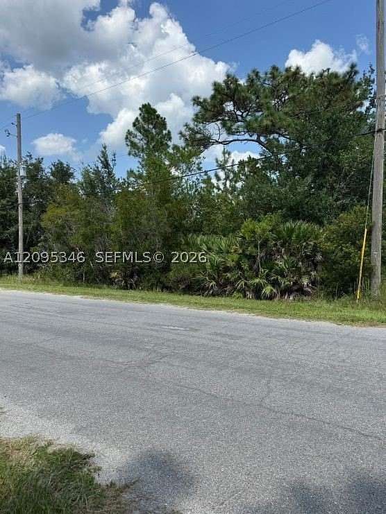 1 Acre of Residential Land for Sale in Wedgefield, Florida