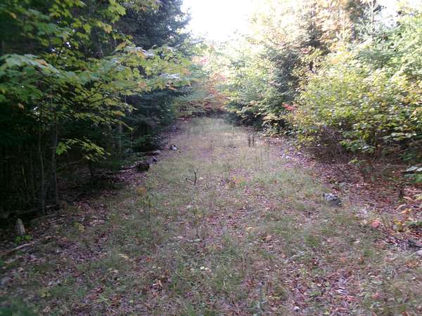 112 Acres of Recreational Land for Sale in Talmadge Town, Maine