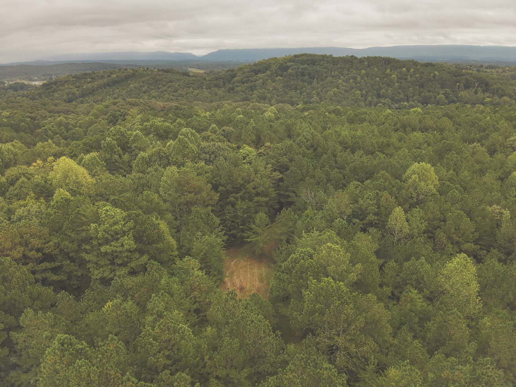103 Acres of Recreational & Residential Land for Sale in Charleston, Tennessee