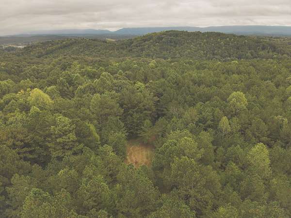 103 Acres of Recreational & Residential Land for Sale in Charleston, Tennessee
