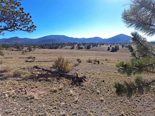 10 Acres of Recreational & Residential Land for Sale in Hartsel, Colorado