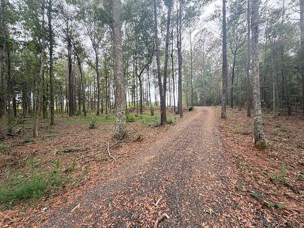 20 Acres of Agricultural & Residential Land for Sale in Luverne, Alabama