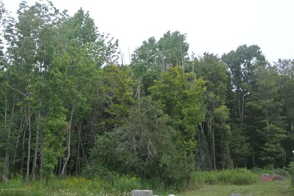 13.4 Acres of Commercial Land for Lease in Covington Township, Pennsylvania