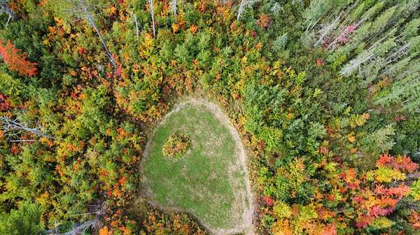 76 Acres of Recreational Land for Sale in Monico, Wisconsin