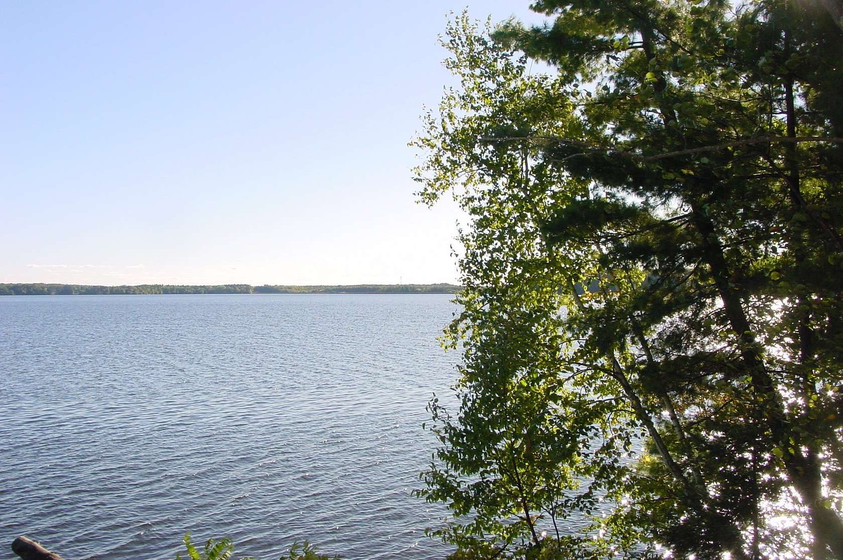 0.25 Acres of Land for Sale in Ladysmith, Wisconsin