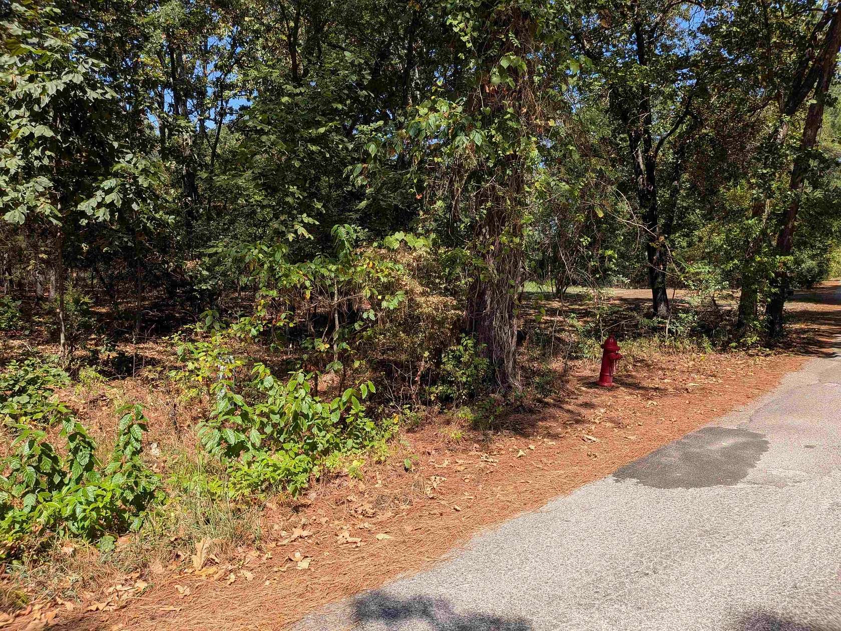 Residential Land for Sale in Cherokee Village, Arkansas