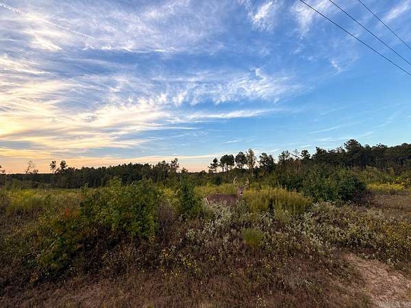 79.8 Acres of Recreational Land for Sale in Prescott, Arkansas