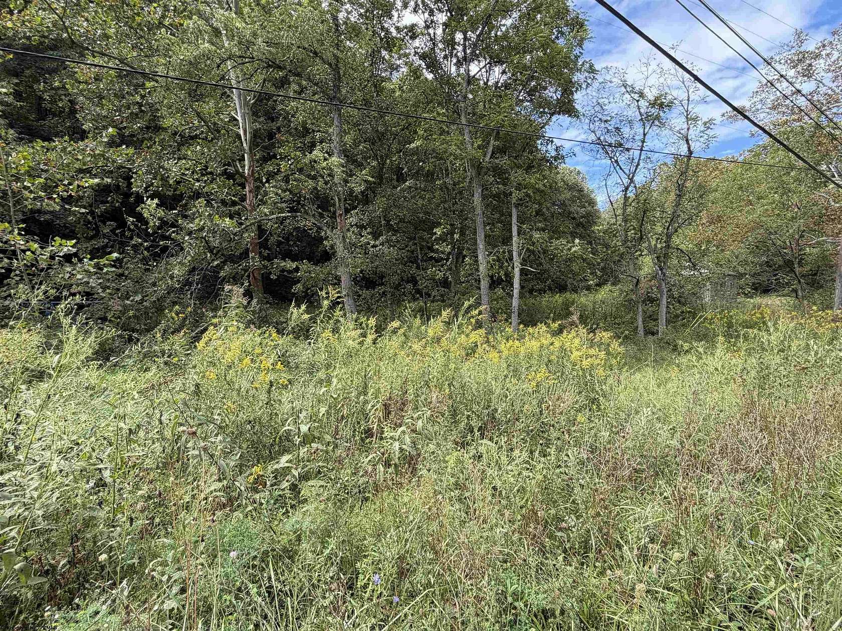 47.4 Acres of Recreational & Residential Land for Sale in Maidsville, West Virginia