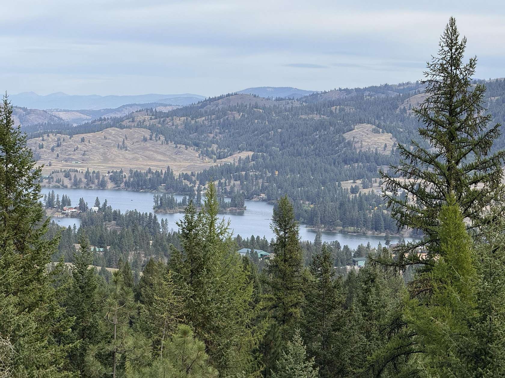 12.6 Acres of Recreational & Residential Land for Sale in Republic, Washington