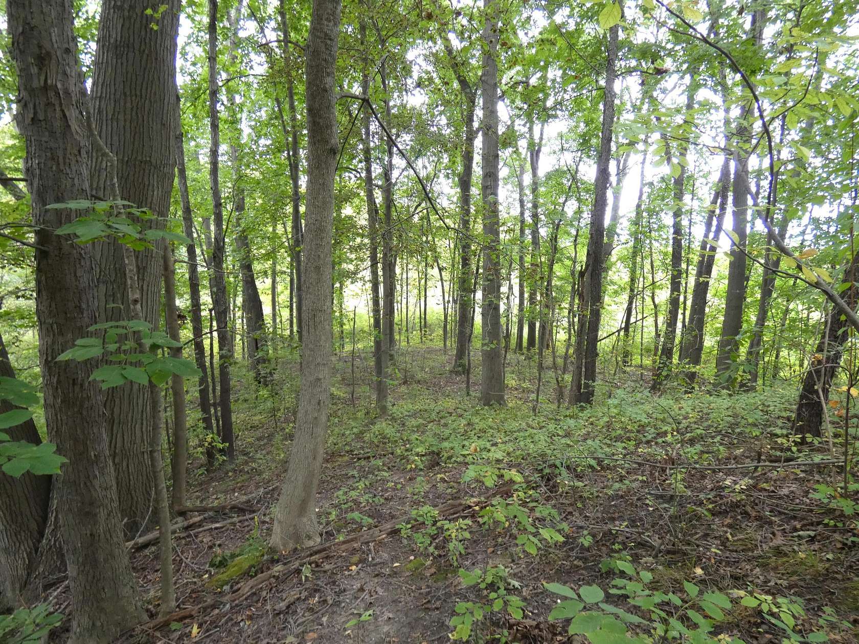 0.81 Acres of Land for Sale in Benton Harbor, Michigan