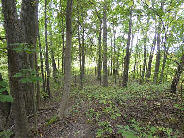 0.81 Acres of Land for Sale in Benton Harbor, Michigan