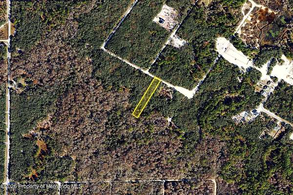 1 Acre of Residential Land for Sale in Webster, Florida