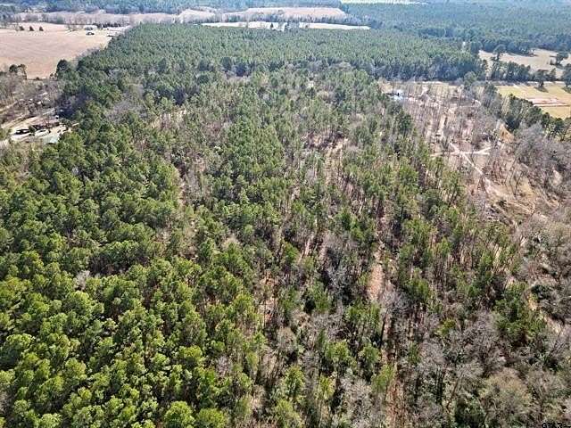 16 Acres of Land for Sale in Troup, Texas
