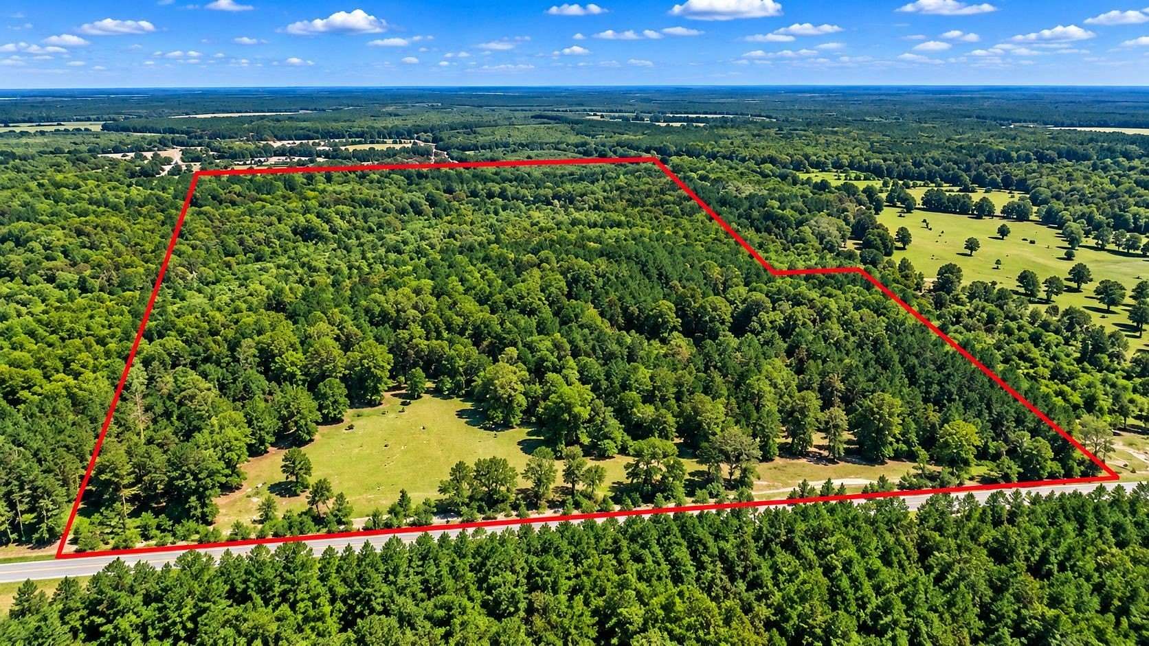 80 Acres of Recreational & Residential Land for Sale in Homer, Louisiana