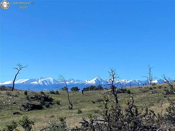 9.72 Acres of Residential Land for Sale in Cotopaxi, Colorado