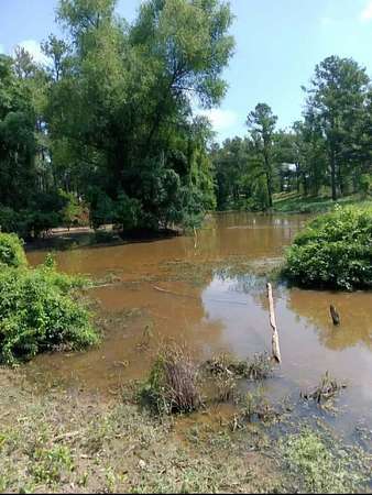 4 Acres of Land with Home for Sale in Shelbyville, Texas