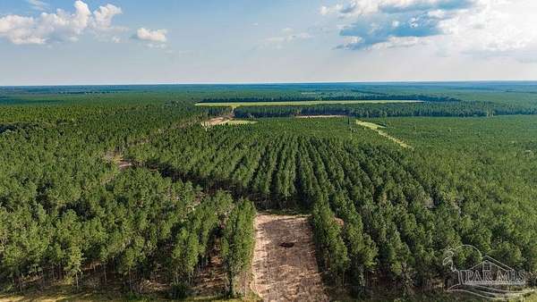 4.62 Acres of Residential Land for Sale in Milton, Florida