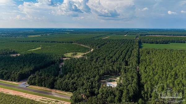 3.75 Acres of Residential Land for Sale in Milton, Florida